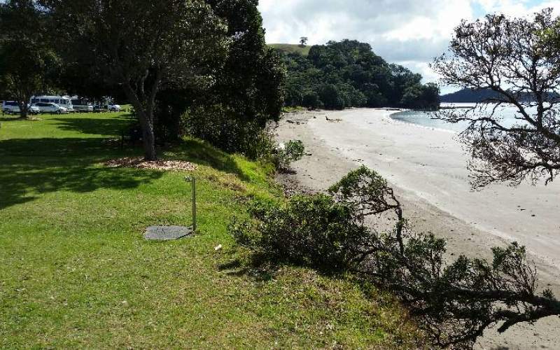 Mahurangi Regional Park Freedom/Basic Camp New Zealand